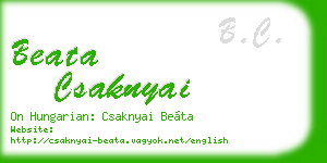 beata csaknyai business card
